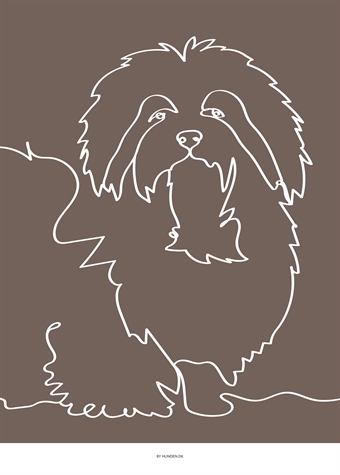 ”Coton de tulear” A3 (30 x 42 cm) 